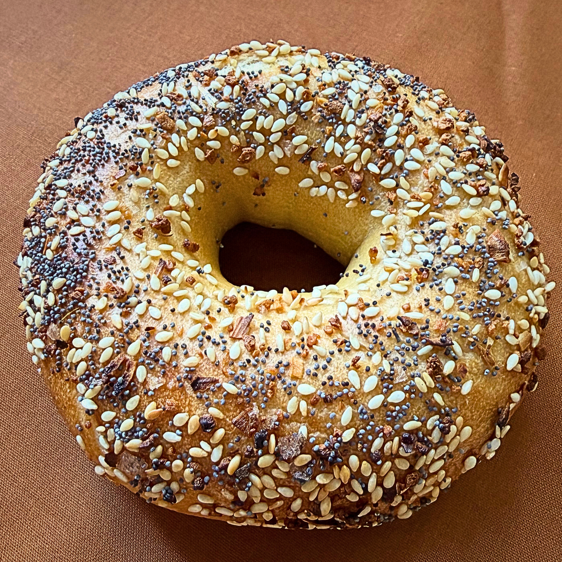 Freshly baked Everything bagel