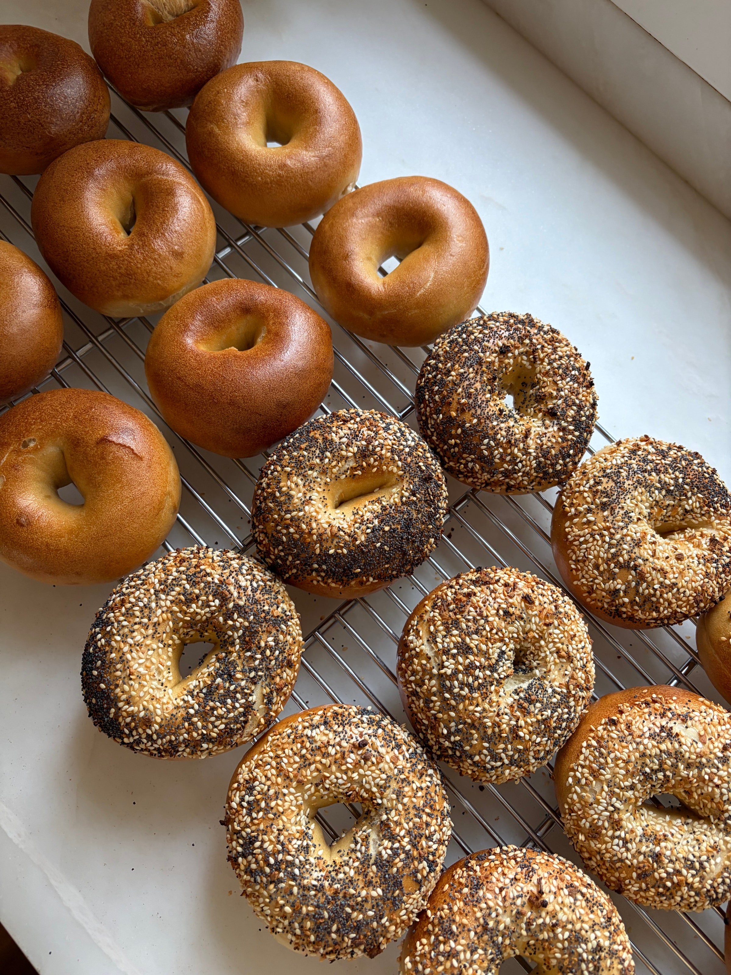 Fresh Mister Bagels cooling on bakery racks