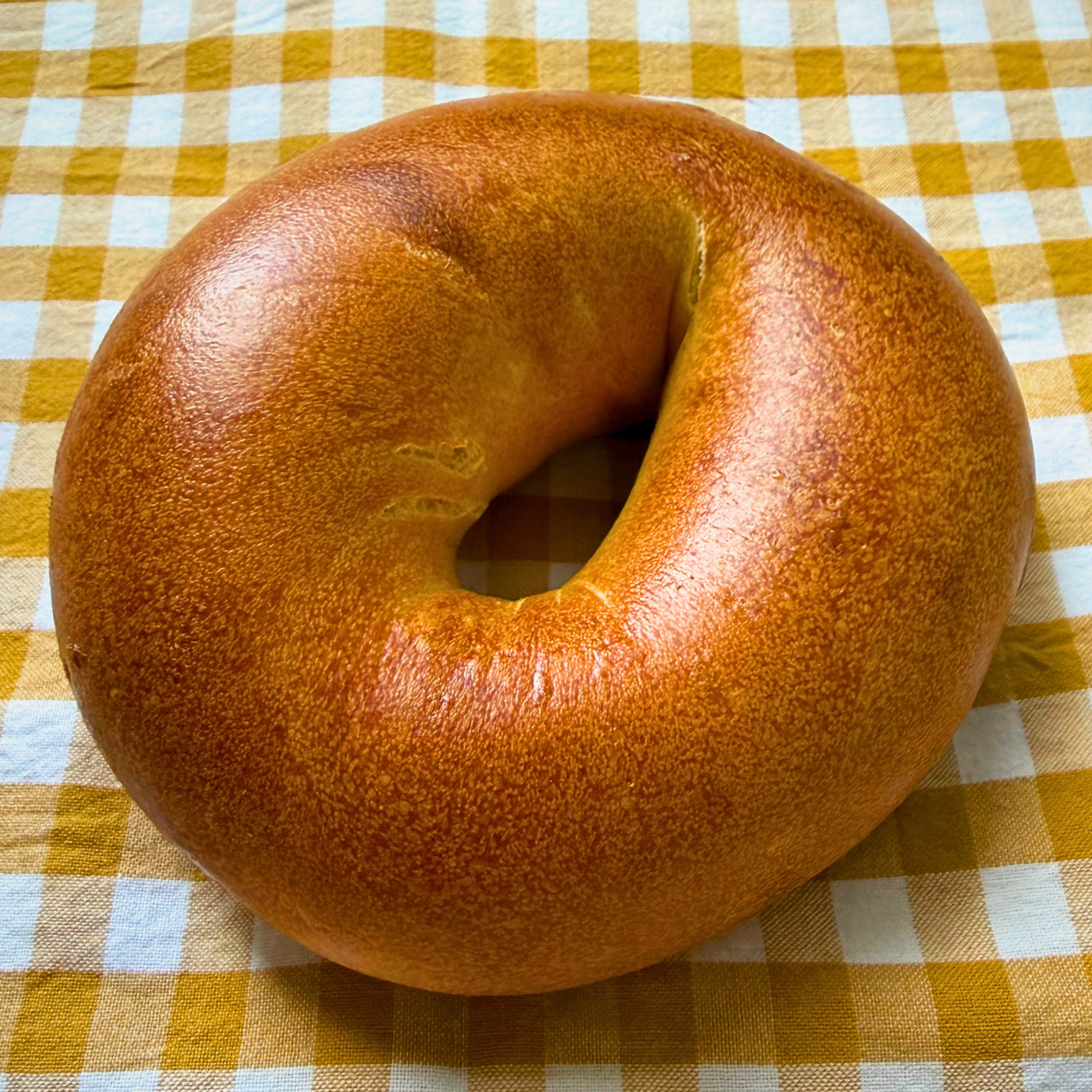 Freshly baked Plain bagel