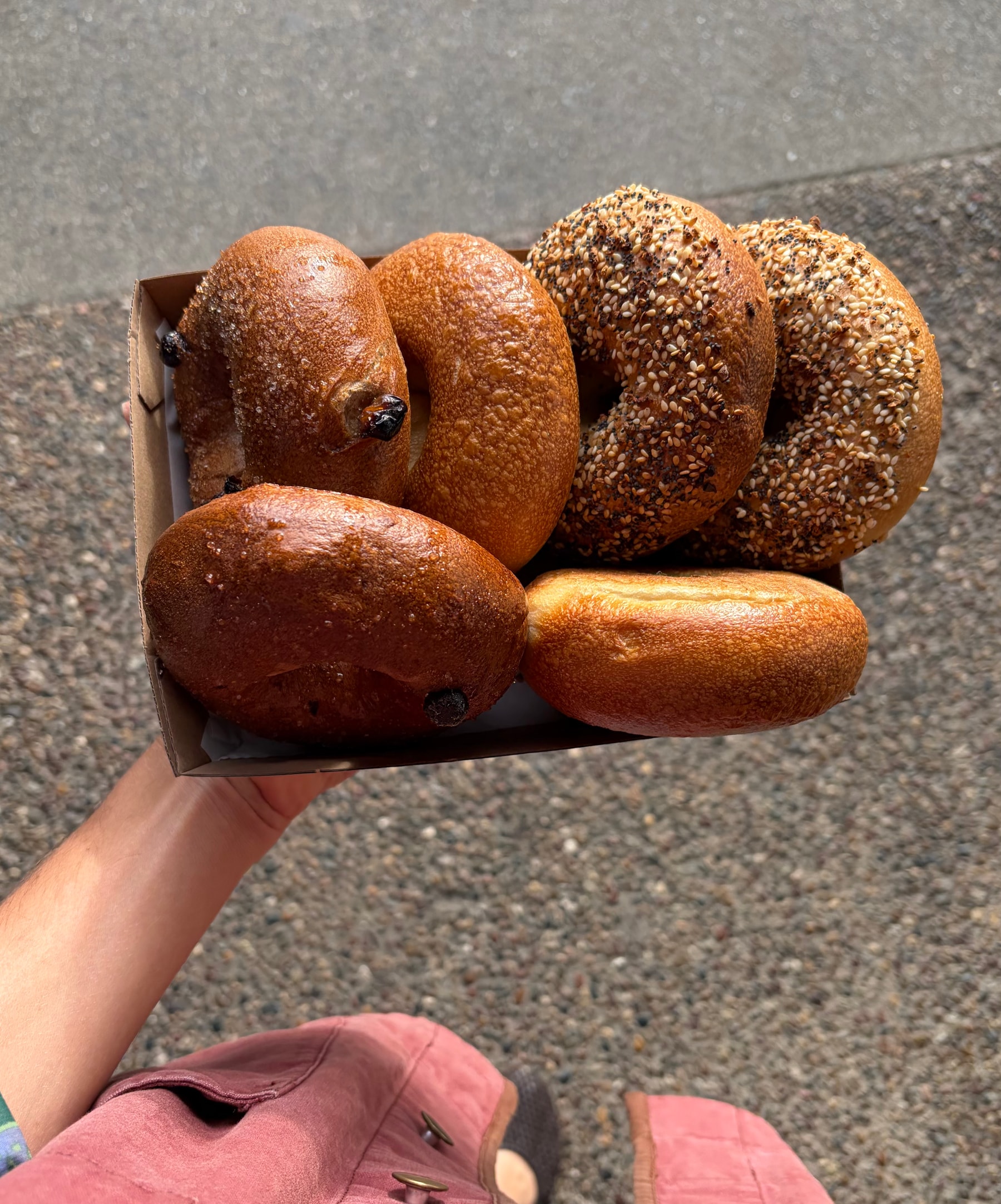 A box of assorted Mister Bagels ready for collection