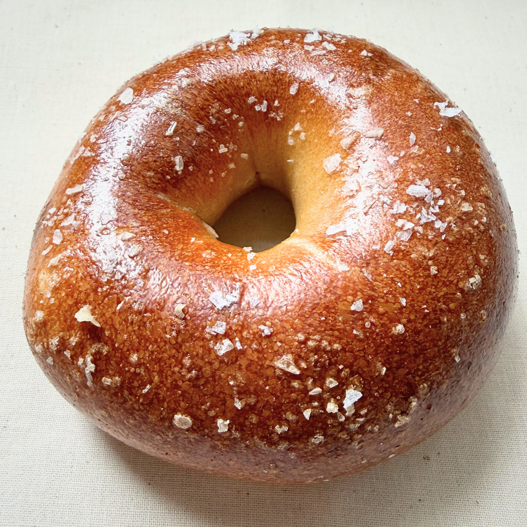 Freshly baked Salt bagel